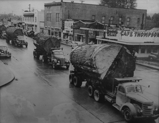 Logging photo from Northwest - Restore Historic Windows Webinar