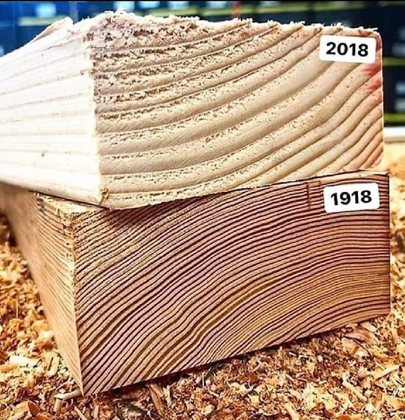 Wood growth 100 years apart.